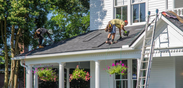 Best Metal Roofing Contractor  in Marshall, MN